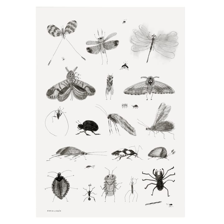 Poster Bugs - 50x70 cm - Fine Little Day