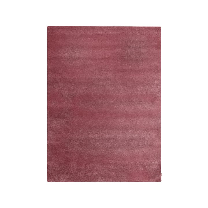 Tapis Mouliné - plum, 200x300 cm - Kateha
