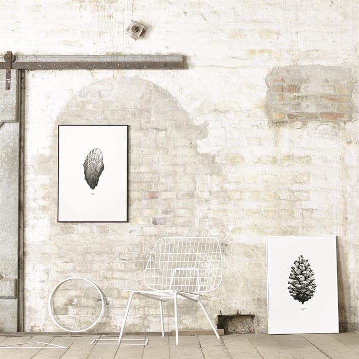 Poster 1:1 Oyster - 50x70 cm - Paper Collective