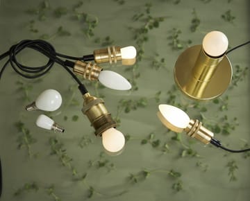 Ampoule E14 ST26 LED opaque intensité réglable en 3 seuils - Opal-blanc chaud - Star Trading